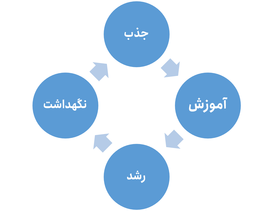 استراتژی های جذب و نگهداشت سرمایه های انسانی